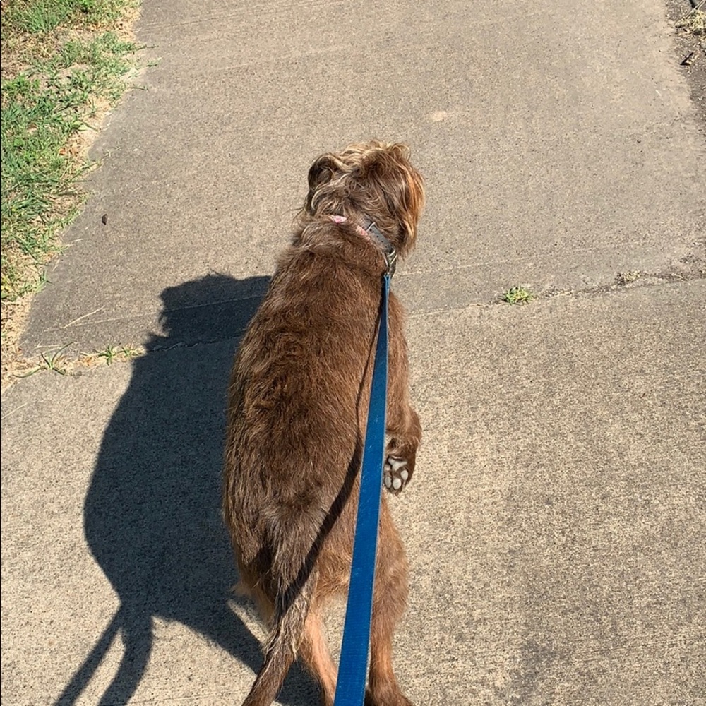 Meet your Posher, Nick